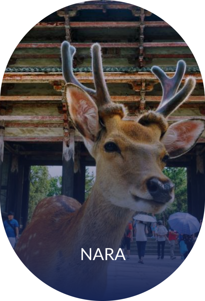Nara-1.png