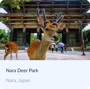 Nara-Deer-Park.png